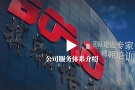 公司服務(wù)體系介紹